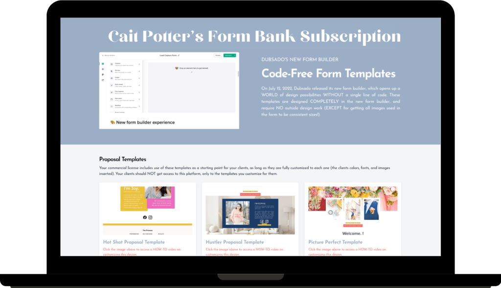 Cait Potter Dubsado Form Bank Subscription